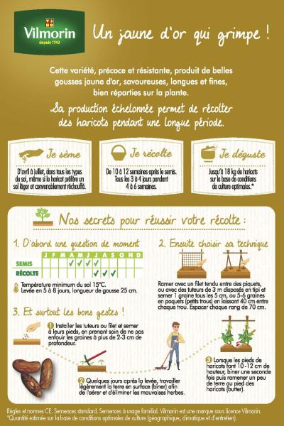 Légumes Secs - Haricot Grimpant Beurre Monte Gusto - 10 m - MEDIA_PACKAGING_VERSO